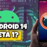 Android 14 (Beta 1): Las características y mejoras de la última versión.